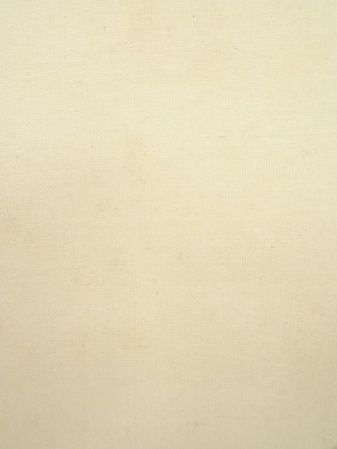 道具 ] - 道具 丙辰（1916年） 山田介堂筆 ずいき 肉筆絹本掛軸（保護